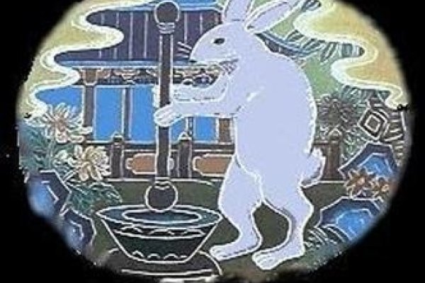 玉兔出宫生肖猪-红迪亚