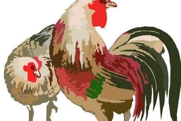 一枝独秀指鸡生肖。-红迪亚