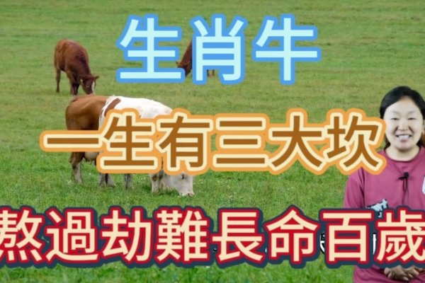 迎刃而解——生肖牛。-红迪亚