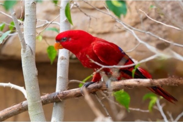 游戏情侣名字大全，精选浪漫CP昵称-红迪亚