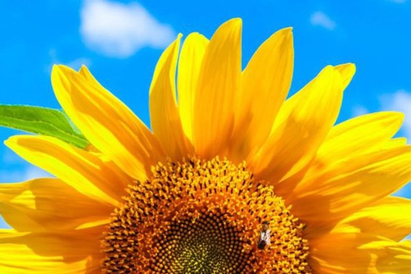 有素质修养的微信名精选，吉祥、幸运、璀璨、宁静之美-红迪亚