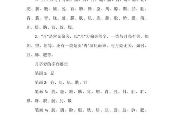 月字旁的字有哪些-红迪亚