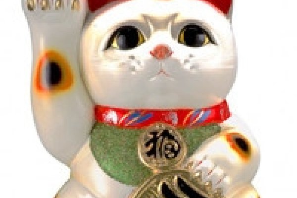 招财旺主猫咪名-红迪亚