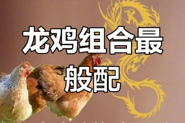 争风吃醋的生肖是鸡还是龙？-红迪亚