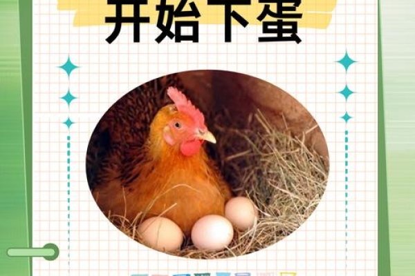 周公解梦，梦见母鸡下蛋预示好运与财富，女性梦到暗示怀孕或婚姻之喜，男性则可能事业顺利。-红迪亚