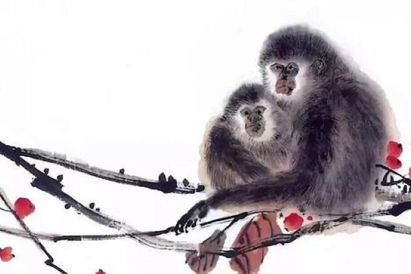 周公解梦详解，梦见猴、蛇等动物及水的象征意义与吉凶预测-红迪亚