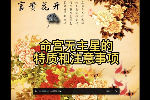 中宫一孤定一格生肖解析-红迪亚