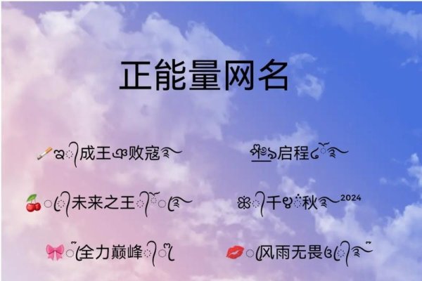 最好的网名选择，寓意美好未来与积极心态的命名推荐-红迪亚