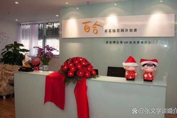 中老年征婚再婚平台简介及推荐,世纪佳缘、百合网等,(涵盖下载及使用指南)-红迪亚