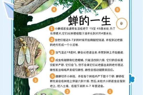 知了猴梦解析，预示好运与事业进步-红迪亚