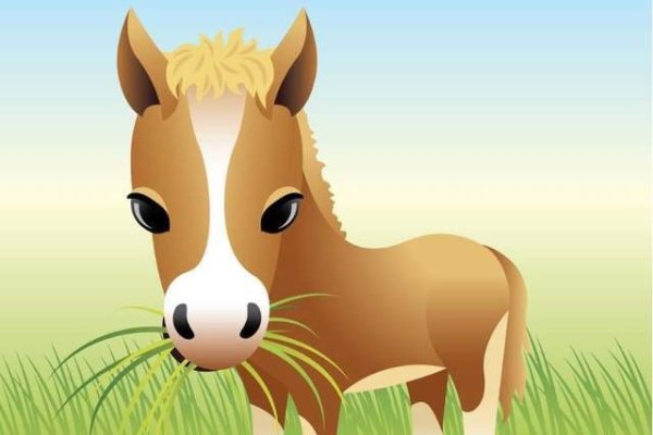 知人善任生肖猴-红迪亚