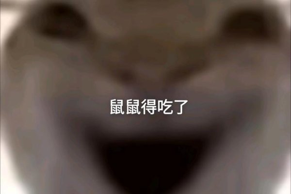 自讨苦吃的生肖是鼠。-红迪亚