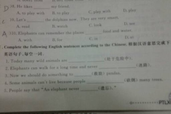 中文名英文书写规范标题,中英名字转换及命名规则简介-红迪亚