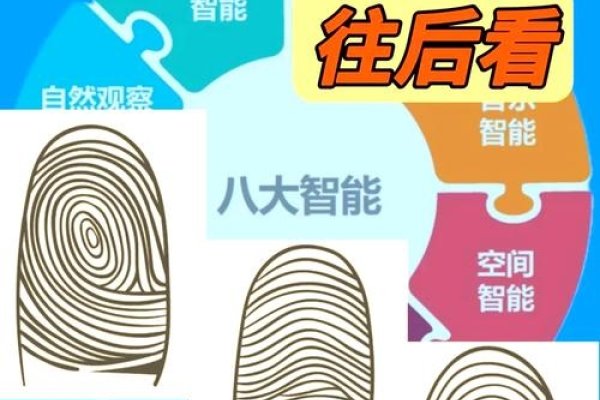 指纹类型解析-红迪亚