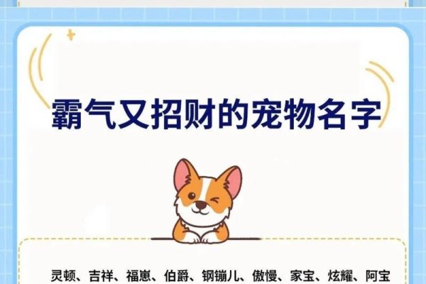 最新热门狗狗名字及寓意，，球球、旺才，活泼可爱，寓主人财运旺盛。，点点、波波，小巧玲珑，寓意生活多姿多彩。，狂狼、铁血，体现霸气野性，力量强大。，来福、元宝，福气来临，财富象征。，金金、钻石，高贵风雅，金光闪耀，富贵逼人。-红迪亚