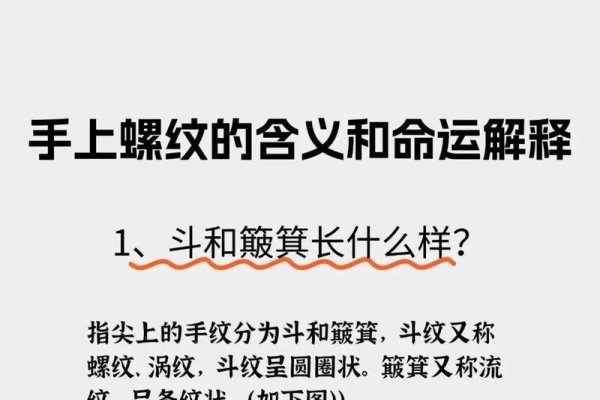 指纹算命图解，手指螺纹解读-红迪亚