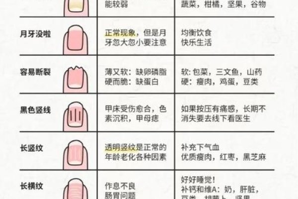 指甲算命，解读命运与性格的密码-红迪亚