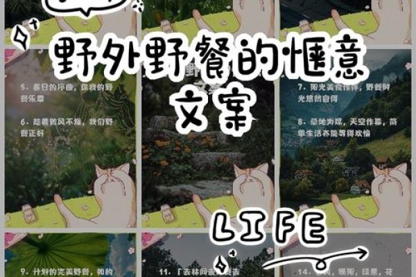 周末野餐文案-红迪亚