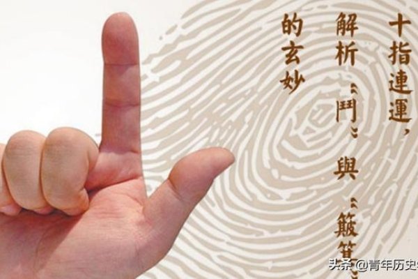 指纹测缘分揭秘，斗与簸箕的传奇之旅，深度解读指纹奥秘，探寻千年传说间的真假。-红迪亚