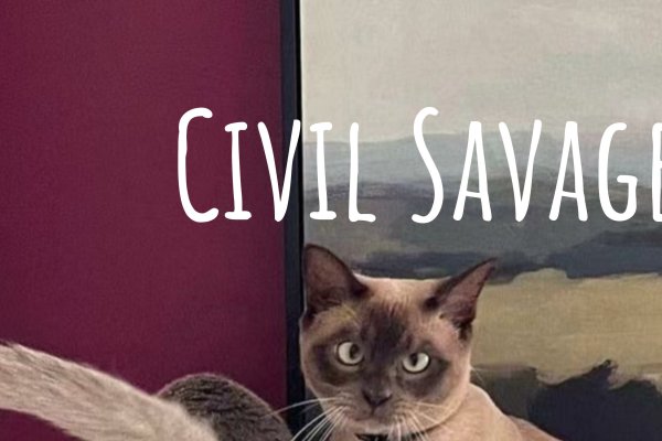 在线占卜爱情运势标题，在线卜卦揭秘，你的爱情故事走向如何？，爱情塔罗牌解读，情感走势大解析！，塔罗占心术，探寻爱情的未来轨迹。-红迪亚