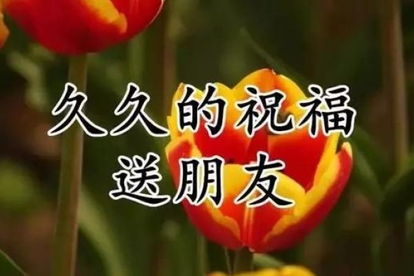 正月初九吉日-红迪亚