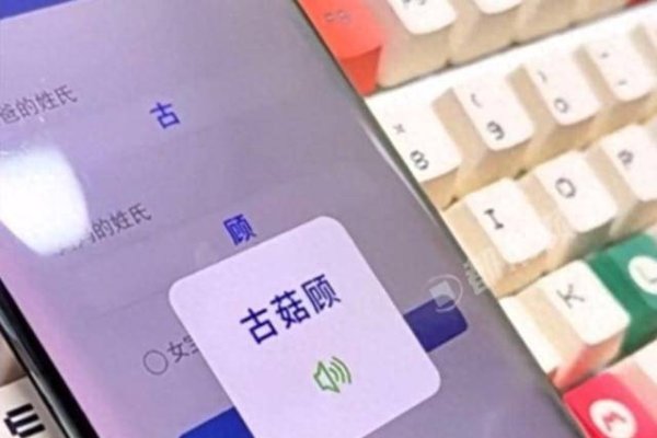 周易免费取名网，专业解析卦象与名字匹配度，提供个性化命名建议。-红迪亚