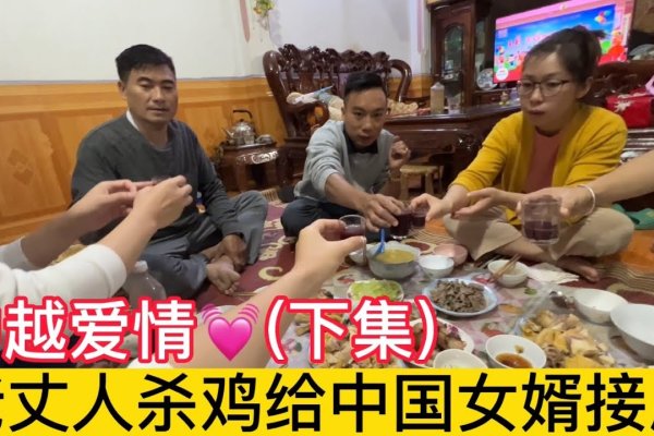 中越相亲网热门探讨-红迪亚