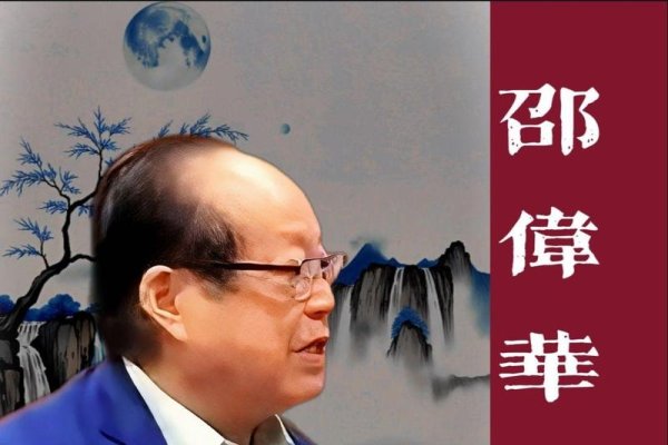 周易专家风采，邵伟华、霍斐然等当代易学大师揭秘易经智慧-红迪亚